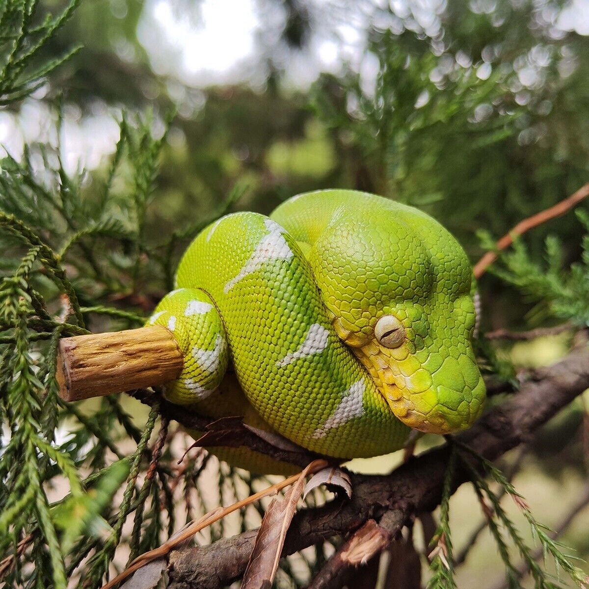 【In-Stock】 Animal Heavenly Body Emerald Tree Boa Corallus caninus Snake Statue