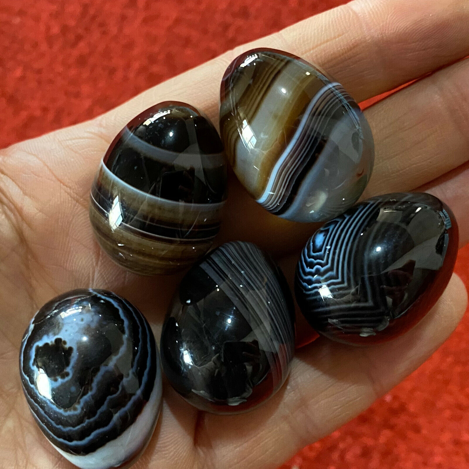  Natural black carnelian quartz egg hand-polished specimen reiki healing 5PC