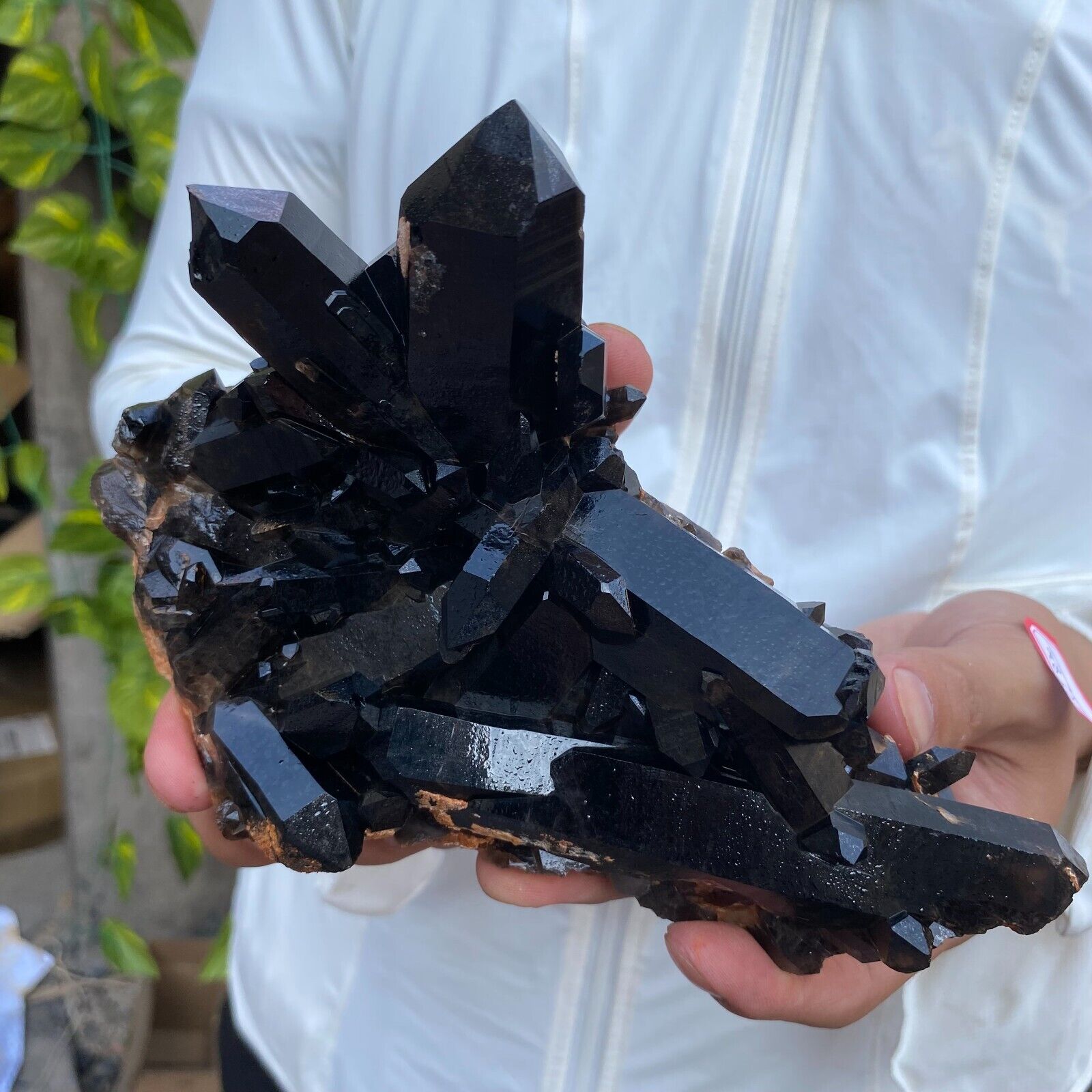1.7LB Large Natural Smoky Black Quartz Crystal Cluster Raw Mineral Specimen