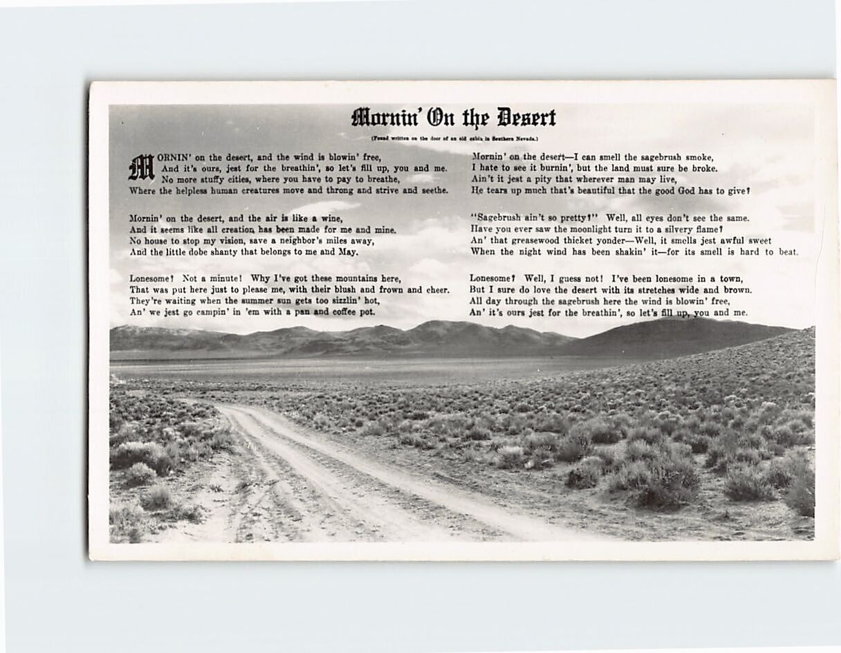 Postcard Morning On the Desert Southern Nevada USA
