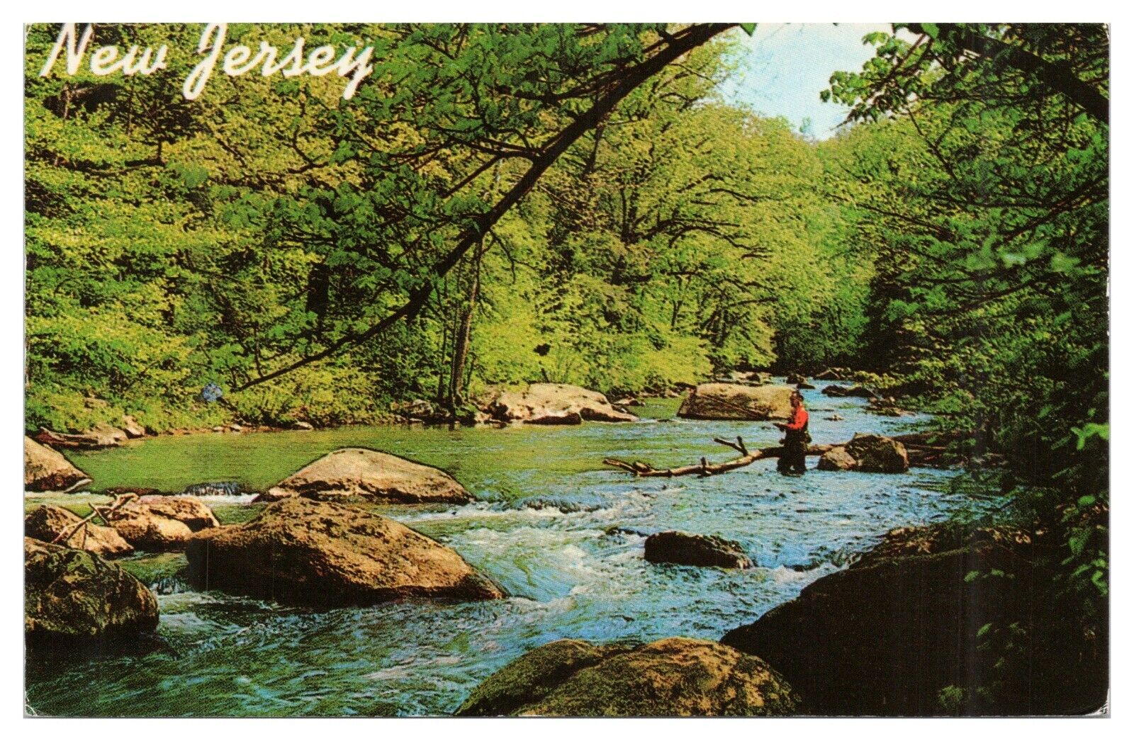 Vintage Raritan River New Jersey Postcard A Fisherman's Paradise Unused