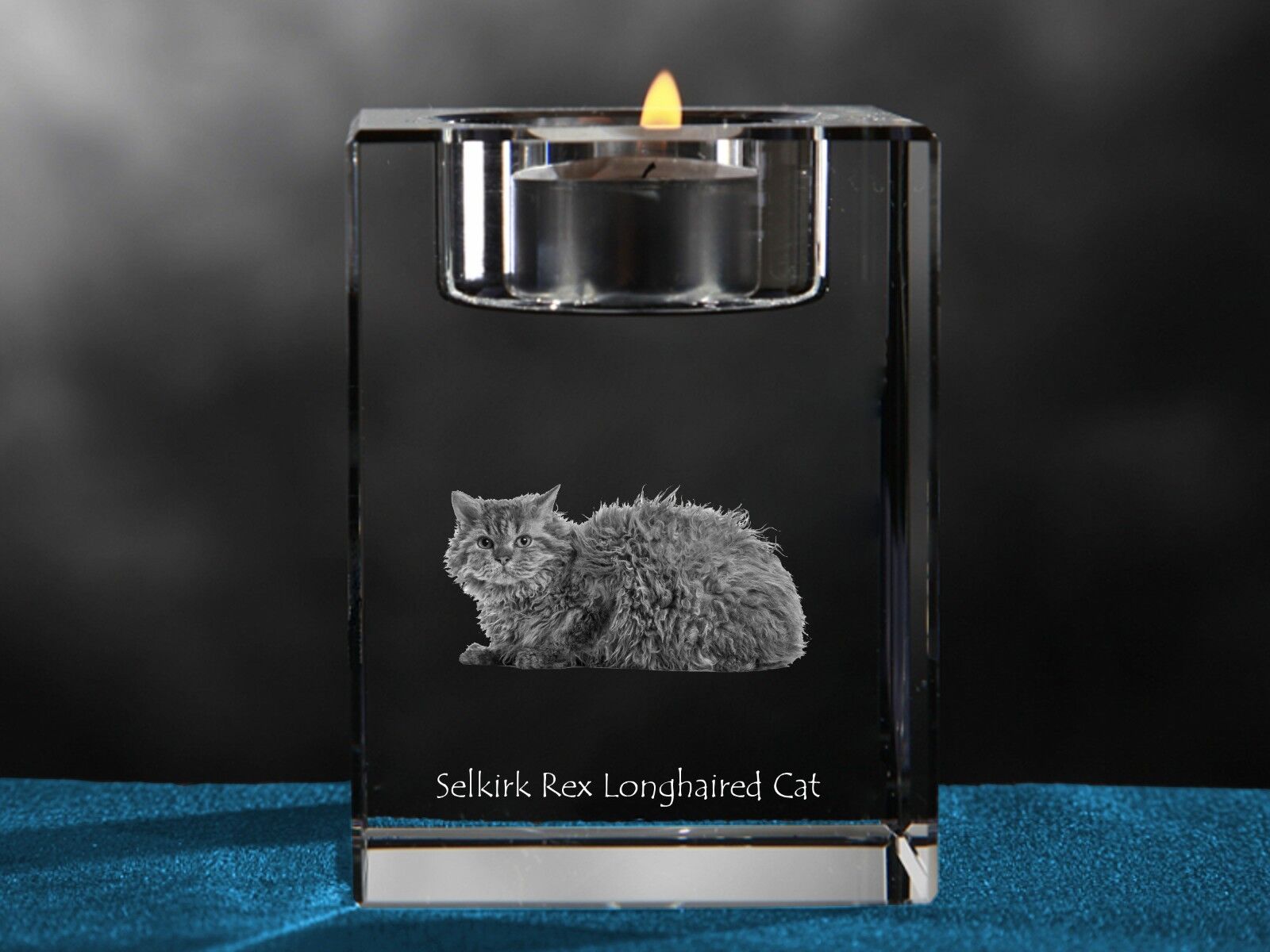 Selkirk Rex longhair, Crystal candle holder with cat, Crystal Animals