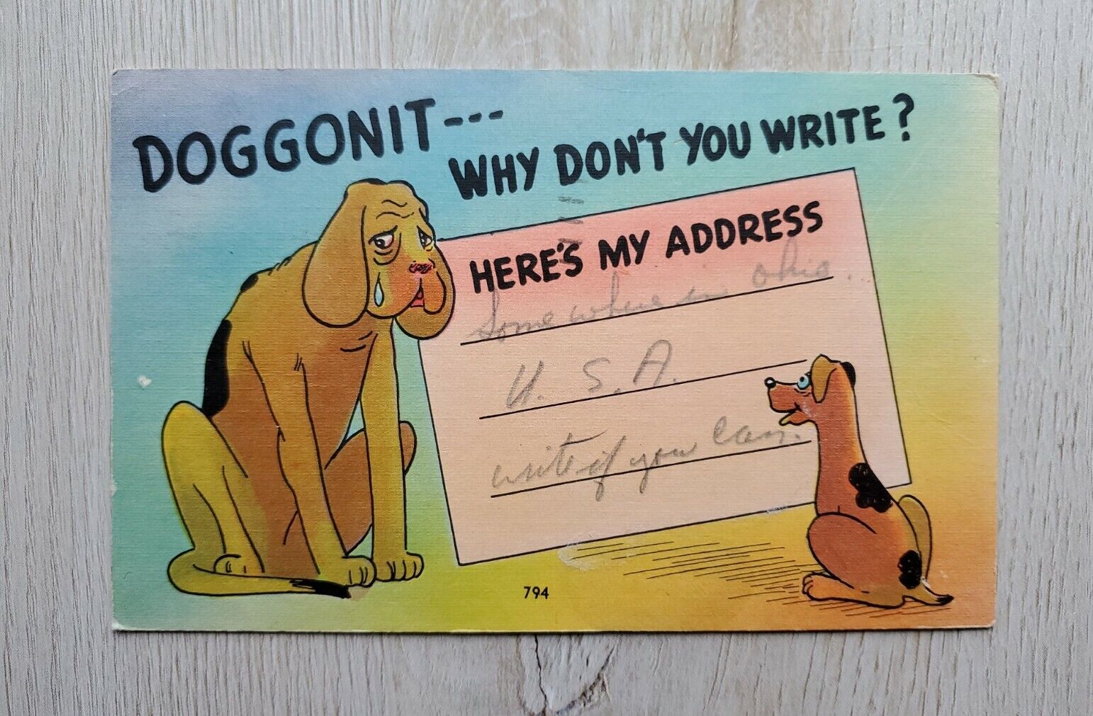1953 Vintage Postcard: Doggonit - Why Don't You Write?