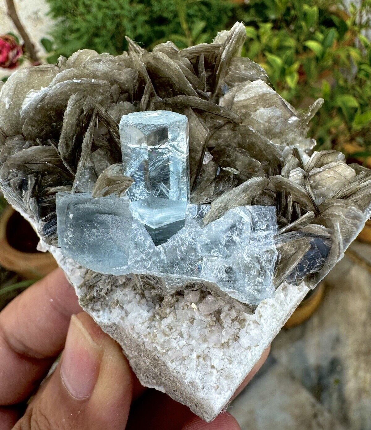 Aquamarine Crystal With Muscovite Combine Specimen , Mineral Specimens