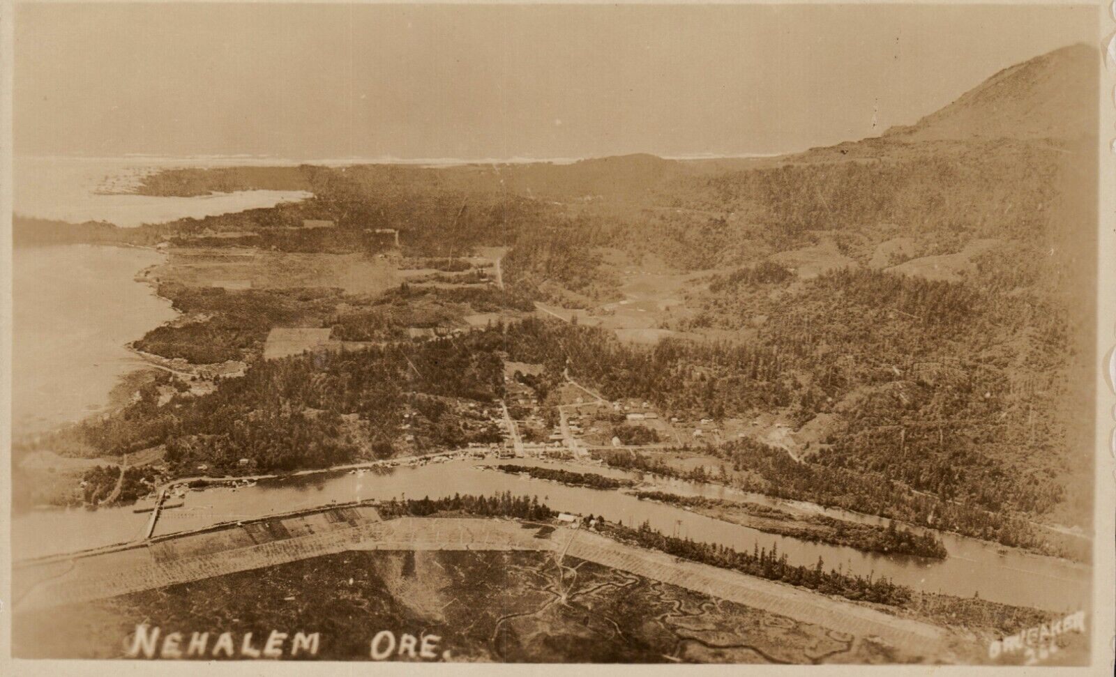 Nehalem Oregon Ariel View RPPC Postcard AZO UNP 1910-1930