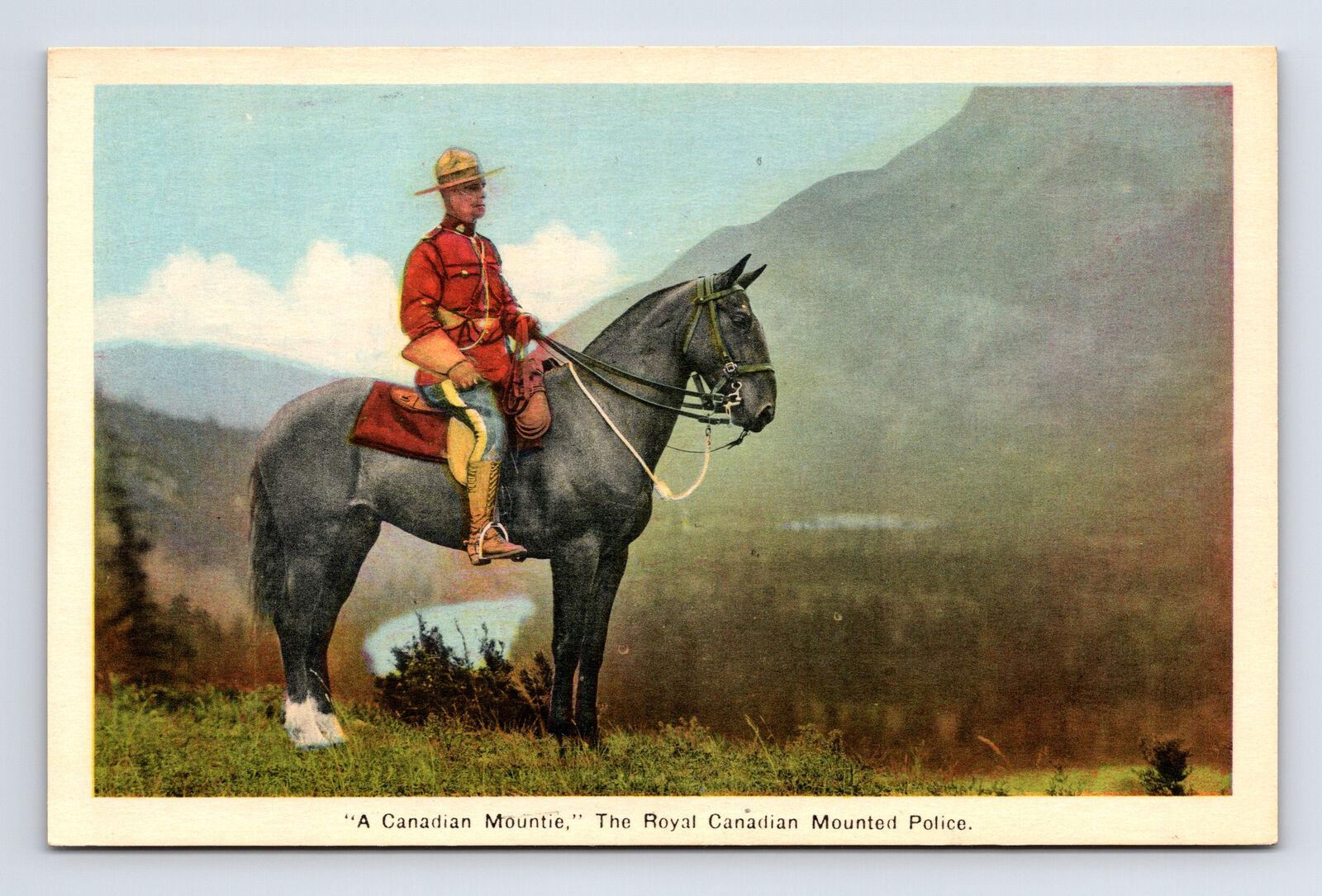 Postcard Royal Canadian Mounted Police Officer On Horse Mounties