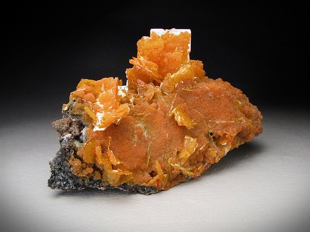 Wulfenite and Mimetite Crystals on Matrix San Francisco Mine Mexico 