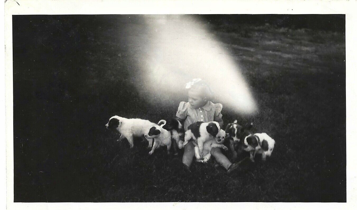 Vintage Old 1940s Abstract Photo Little Girl with Puppy Dogs & Light Anomaly ✨️ 