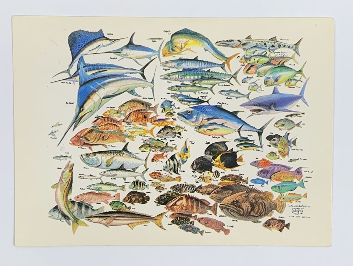 101 Fish of the South Atlantic by Russ Smiley Limited Edition Postcard