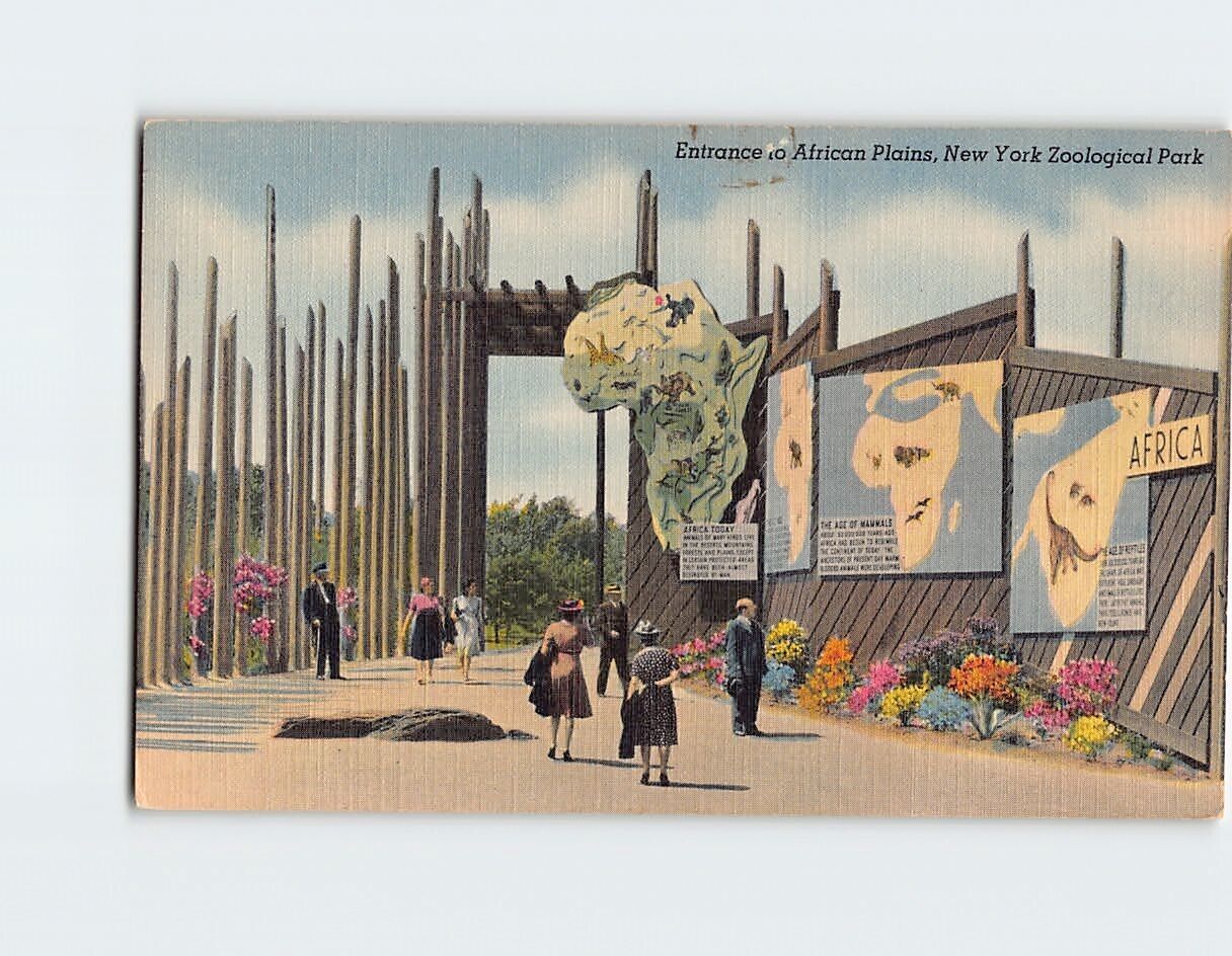 Postcard Entrance to African Plains New York Zoological Park USA