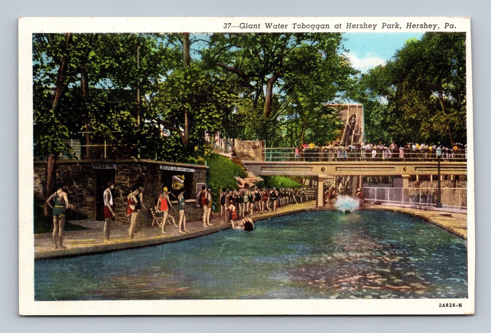 Giant Water Toboggan Hershey Park Linen Postcard Pennsylvania PA Pool