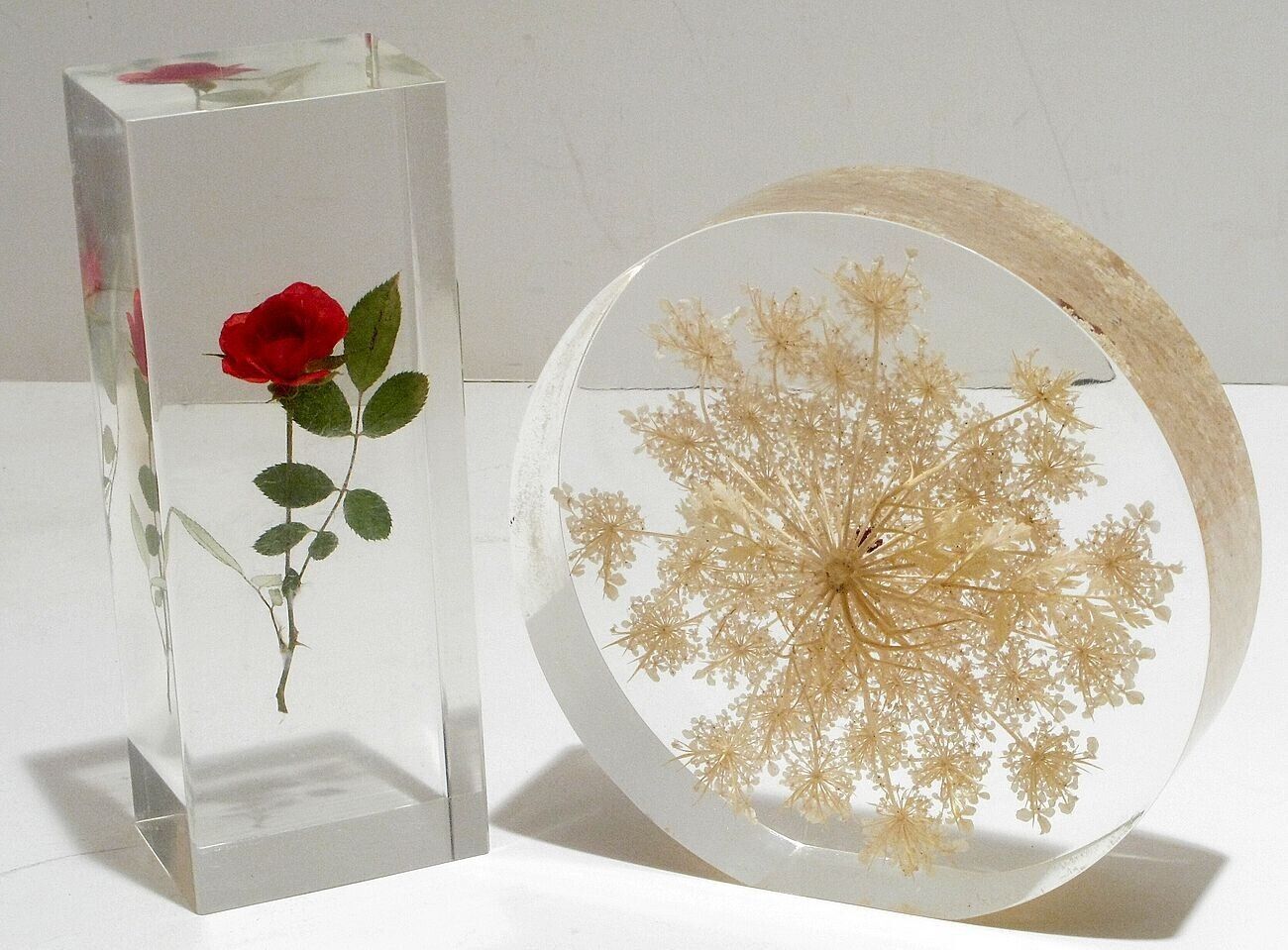Two Vintage W WILLIAM ROLFE Lucite Acrylic Paperweights Rose & Queen Anne's Lace