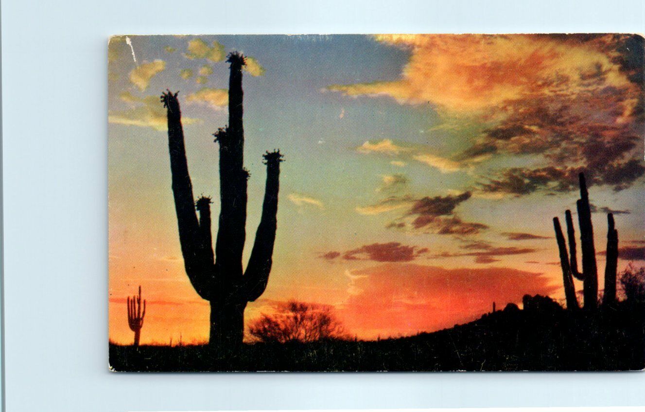 Postcard - Desert Sunset