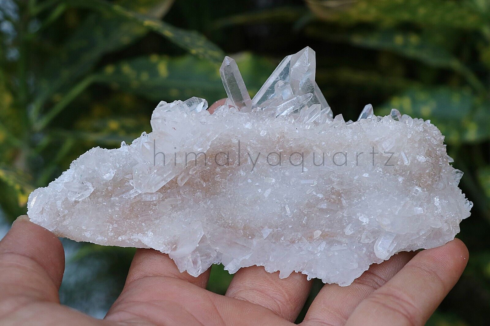 100% Natural Himalayan Samadhi White Quartz Crystal Healing 185gm Rough Specimen