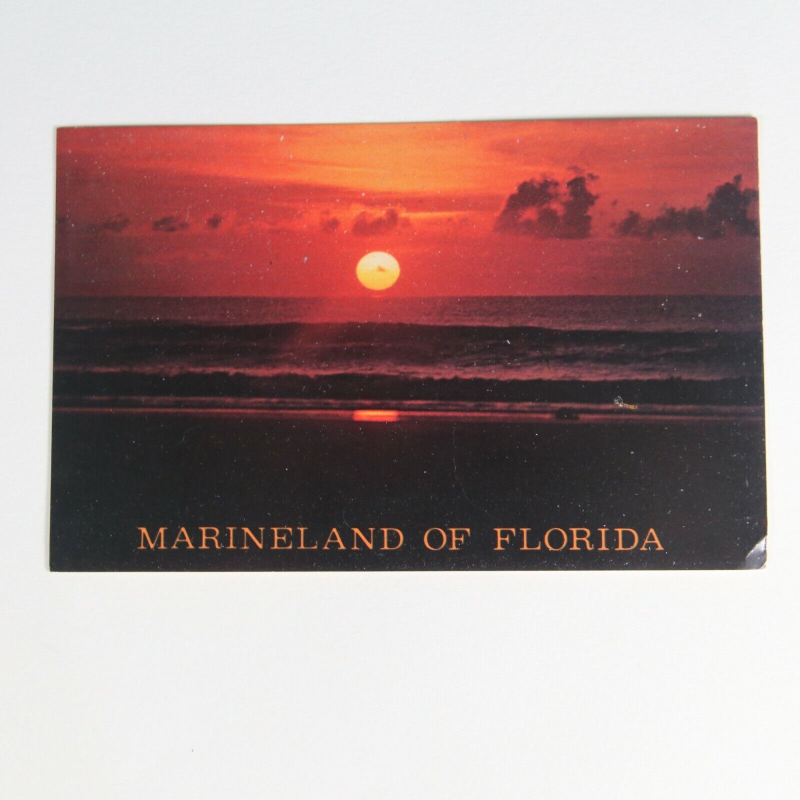 Vintage Postcard Marineland of Florida 