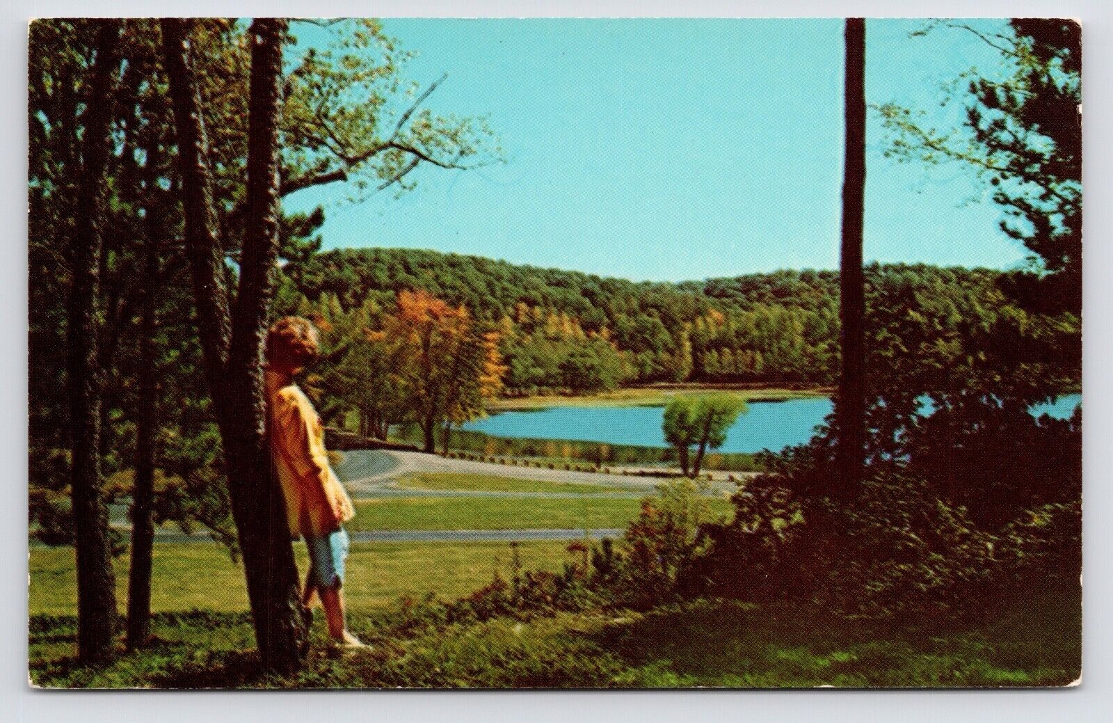 c1950s Lake Alma in the Fall Autumn Trees Wellston Ohio OH Vintage Postcard