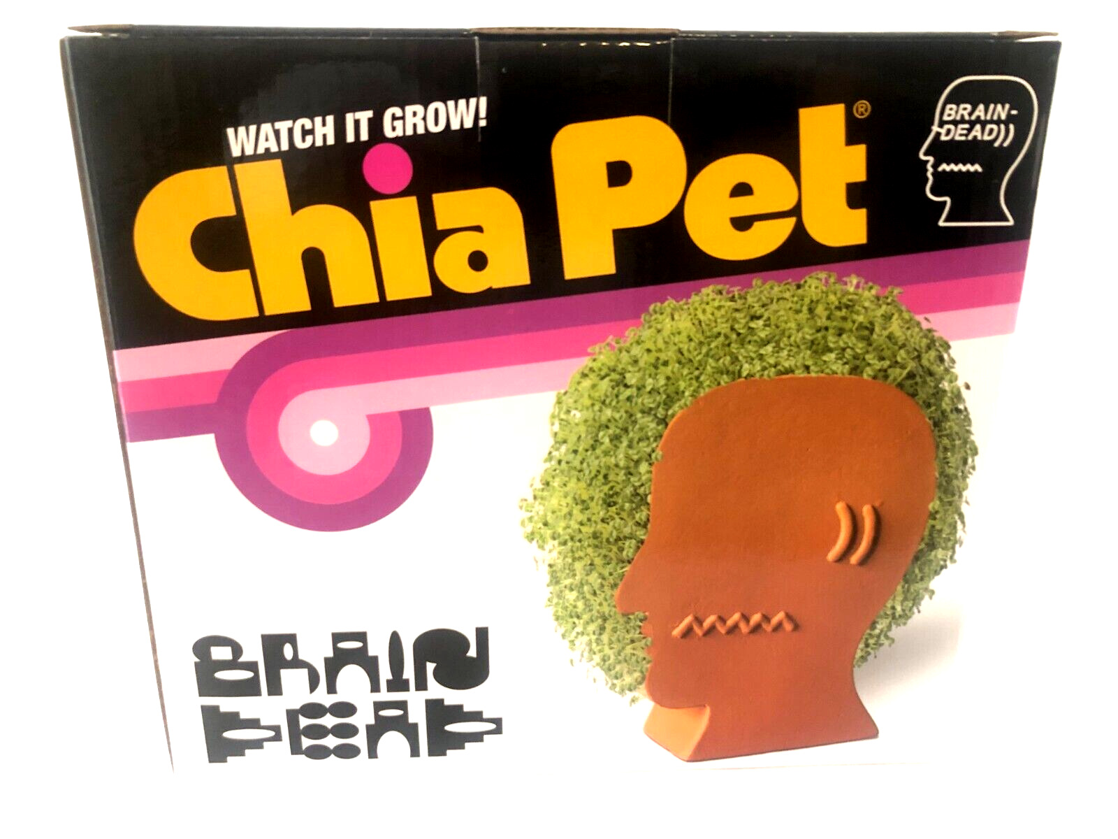 NIB BRAIN DEAD CHIA PET New in Box Skull Mohawk Head Logo Watch it Grow Plant