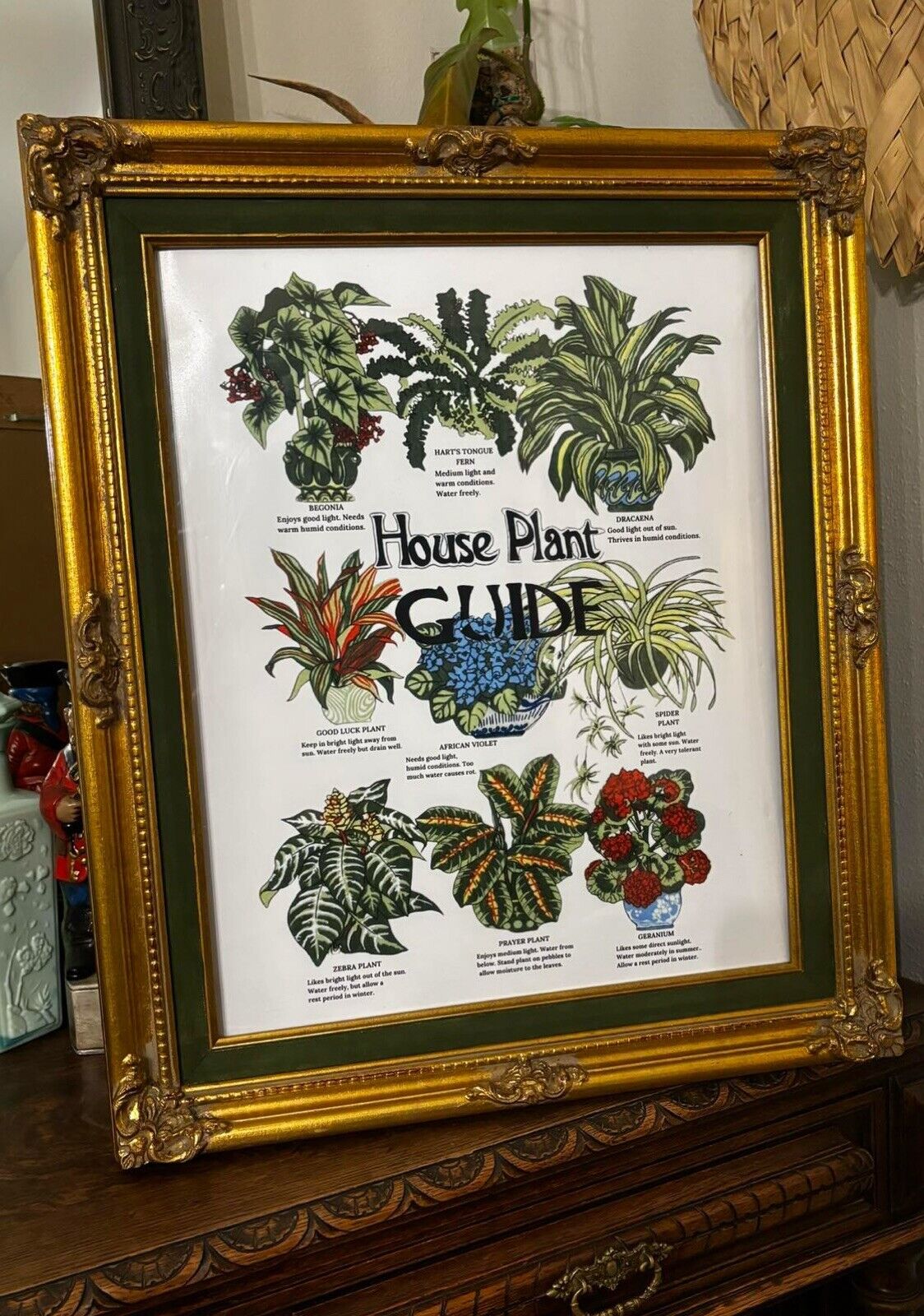 Vintage Ornate Wooden Framed House Plant Guide Tea Towel Artwork 16x20