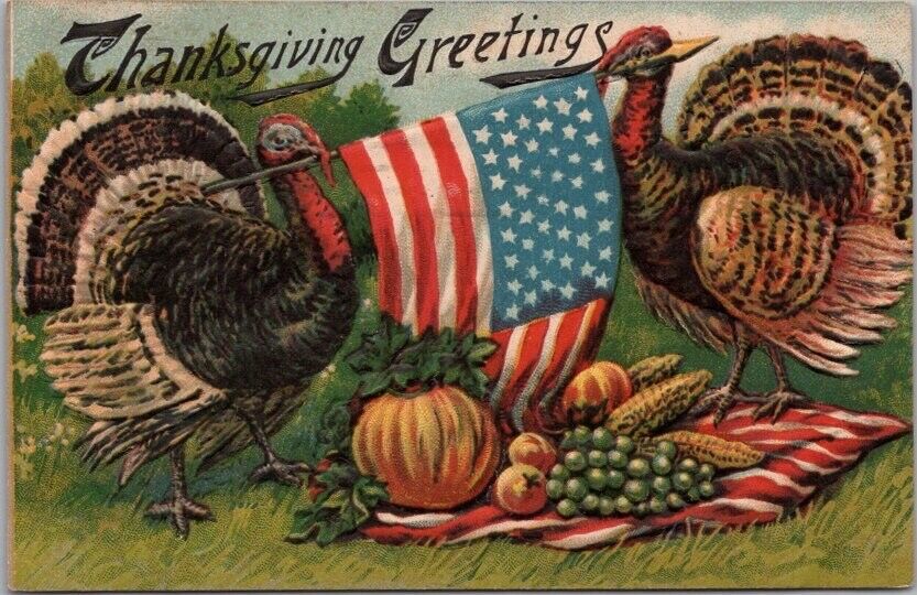 1909 Patriotic THANKSGIVING Embossed Postcard / 2 Turkeys Fighting Over US Flag