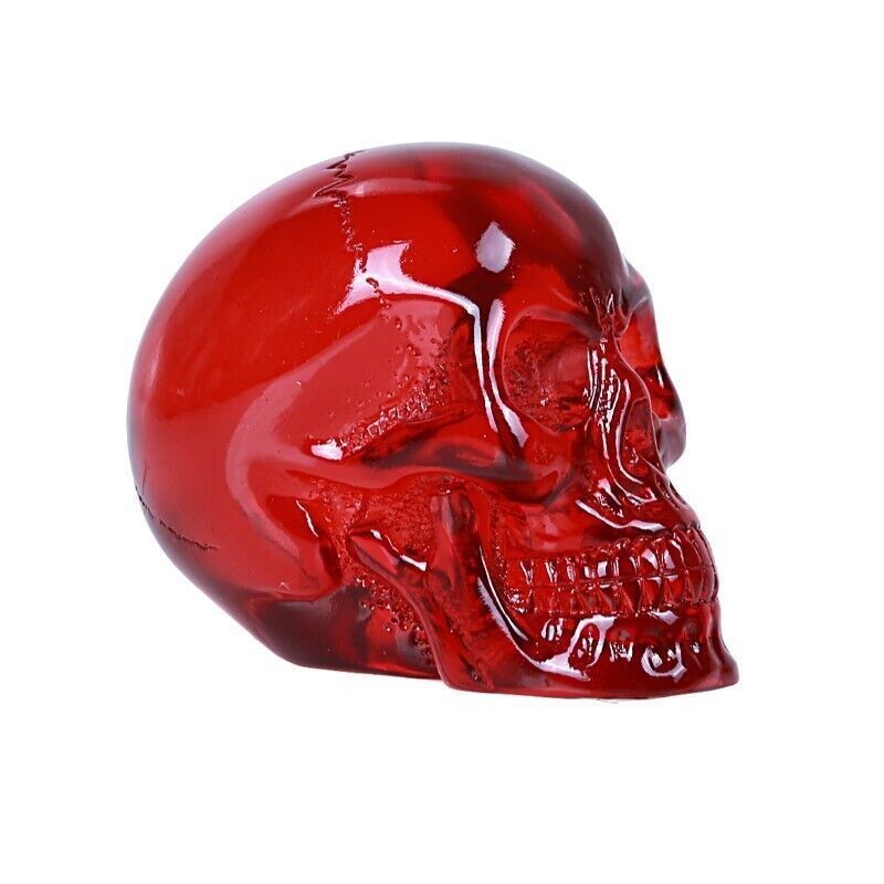 PT  Red Transparent Mini Skull Decoration Set of 4