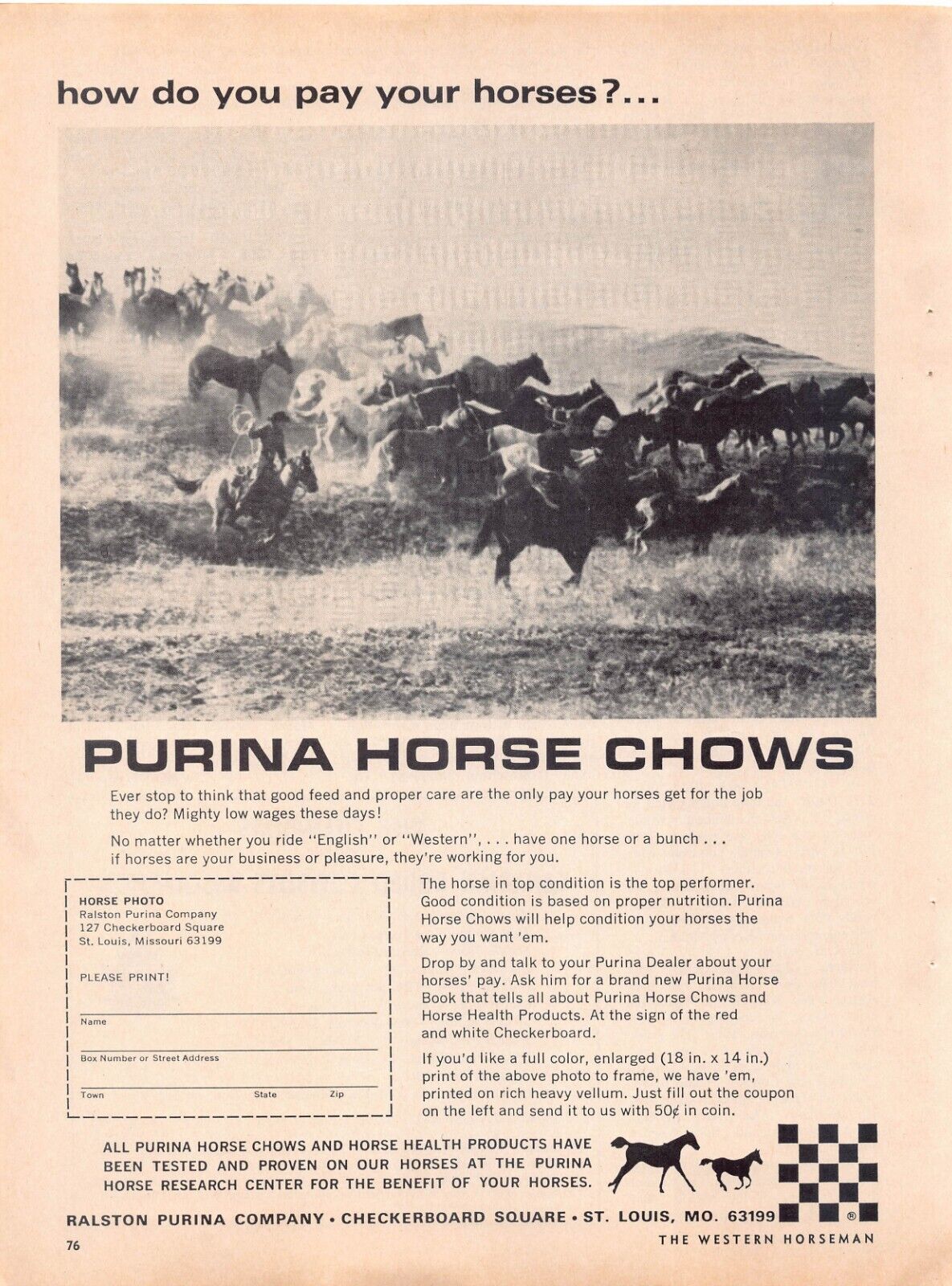 Purina Horse Chow Vintage Magazine Print Ad St Louis Missouri Research Center