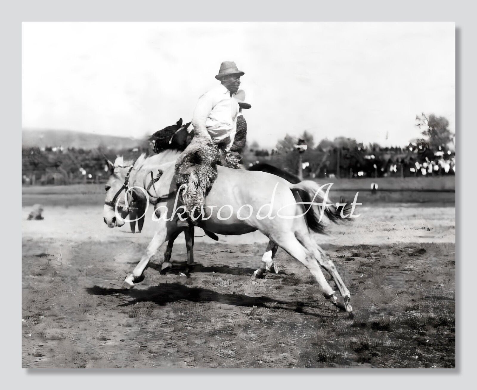 Rodeo Cowboy Riding Backwards on a Mule c1900s, Vintage Photo Reprint