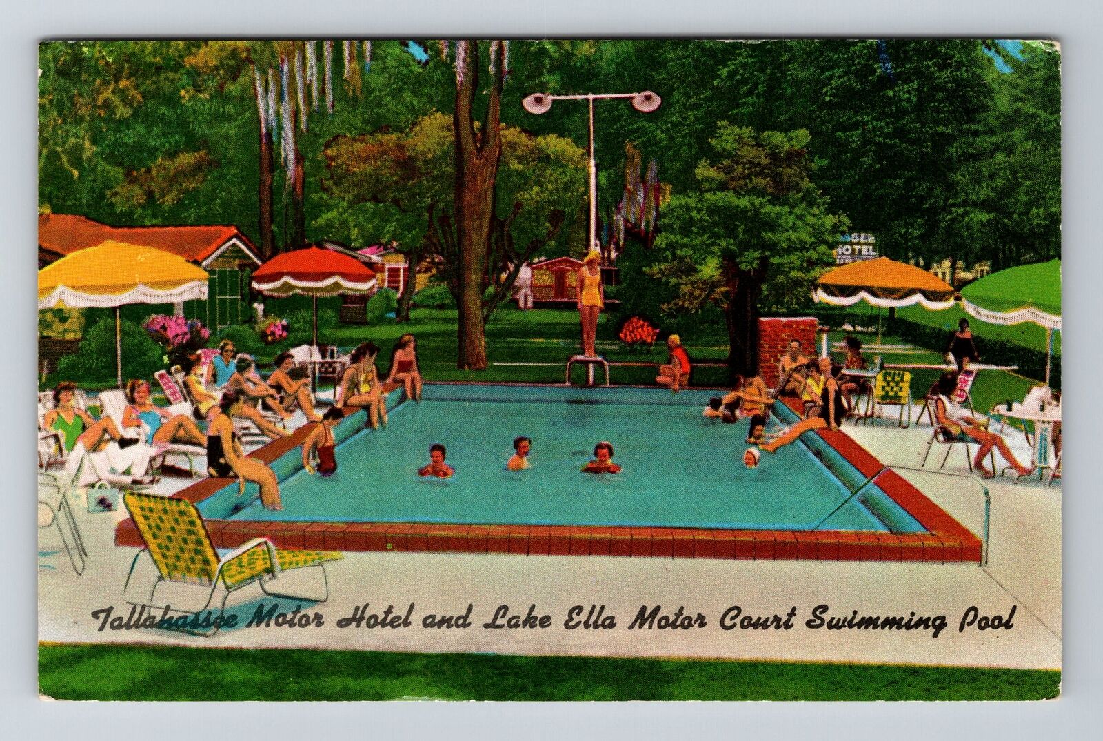 Tallahassee FL-Florida, Tallahassee Motor Hotel, Vintage Postcard