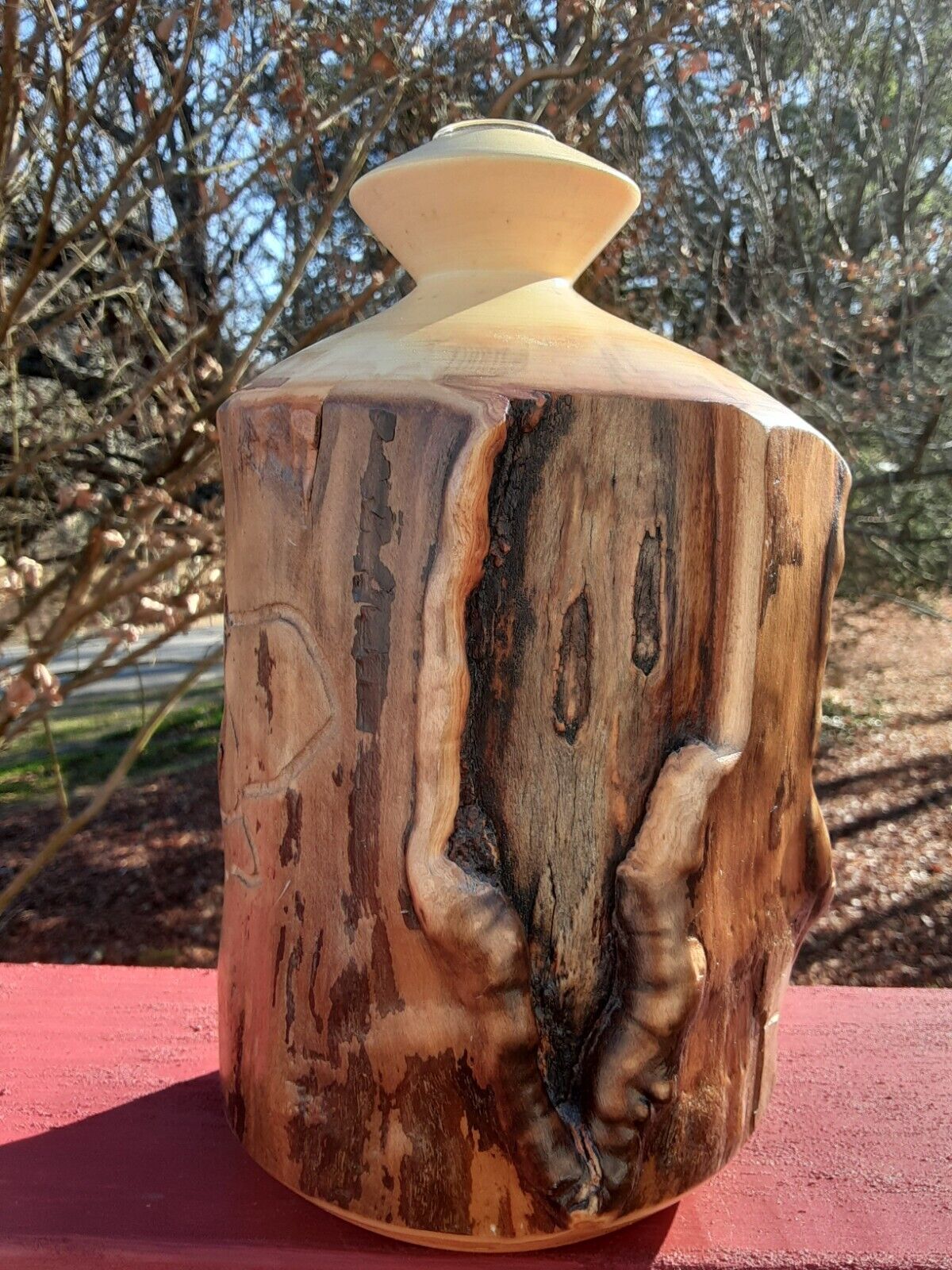 Vintage Natural Hand Turned Wood Vase with Live Edge Aspen Glass Bud Vase Includ