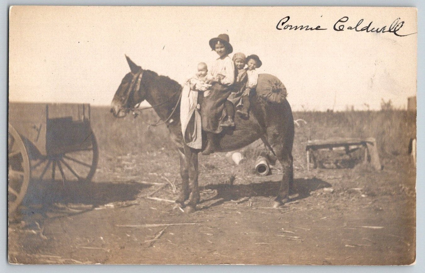 RPPC Postcard~ Four Children Riding A Mule
