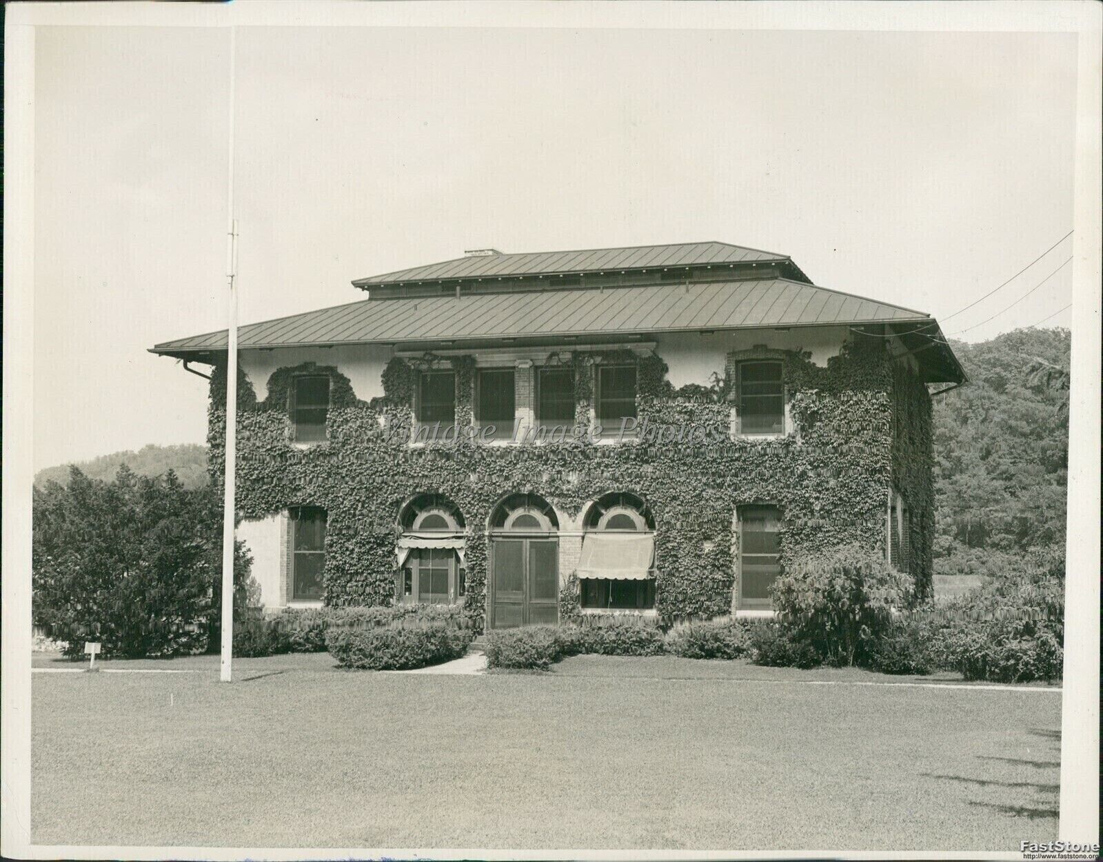 1941 Carnegie Institution Of Wa Department Of Genetics Science Photo 7X9