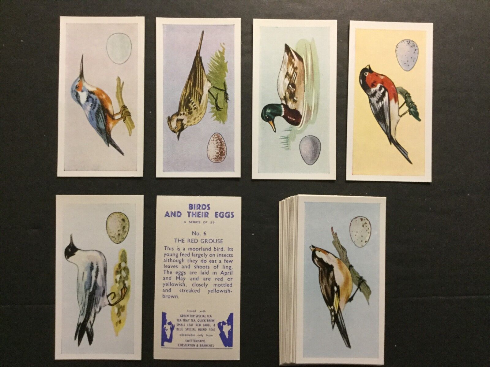 1958 Swettenhams Birds & Their Eggs Set of 25 Cards Sku674N