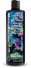 Brightwell Aquatics MicroBacter Start XLM - Concentrated Saltwater Nitrifying Ba picture