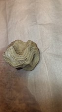 Weird beautiful rock.. Can be used in a fish tank, flower bed, or a coltiable picture