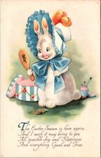 Easter Anthropomorphic Dressed Rabbit Looking In Hand Mirror c1920s postcard DQ3 picture