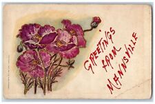 Mannsville Pennsylvania PA Postcard Greetings Embossed Flowers Leaves Scene 1908 picture