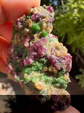 PYROPE GARNETS W/ CHROME DIOPSIDE, NORWAY (GNOR00301) picture