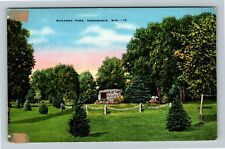 Menomonie WI-Wisconsin, Wakanda Park, Scenic View, Vintage Postcard picture