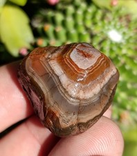 Lake Superior Agate, 1.1oz Mixed Layered Exposure,Display Agate picture