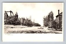 Helena MT-Montana, Residences On Madison Avenue, Antique, Vintage Postcard picture