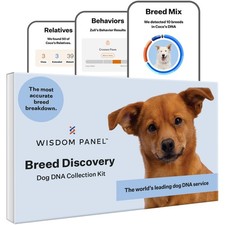 Wisdom Panel Breed Discovery Dog DNA Test Kit 430+ Breeds, MDR1 Health Test picture