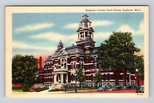 Saginaw MI-Michigan, Saginaw County Court House, Antique, Vintage Postcard picture