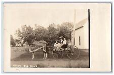 c1910's Postcard RPPC Photo Woman Riding Horse And Carriage Antique Unposted picture