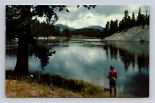 c1956 Chrome Postcard Fishing in Yellowstone River Fisherman picture