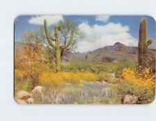 Postcard The Desert in Full Color Giant Saguaros, Palo Verde & Desert Flowers picture