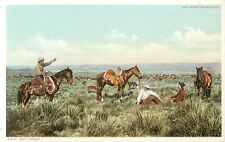 Western Cowboy Postcard Resting During a Cattle Drive 9241 Day Herds Detroit Pub picture