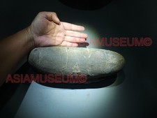 HUGE TARBOSAURUS OVIRAPTOR RAPTOR ASIAN T-REX DINOSAUR EGG FOSSIL JURASSIC WORLD picture