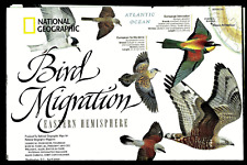 2004-4 April National Geographic Map BIRD MIGRATION EAST & WEST HEMISPHERE -B(A) picture