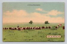 Postcard Cattle Ranch Posted El Campo Texas, Vintage Linen N8 picture