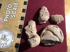 4 PRE COLUMBIAN   TERRACOTTA  FIGURES - Valley Of Mexico, Maya, West Mexico, etc picture