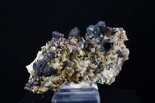 Sphalerite & Chalcopyrite / 8.3cm Mineral Specimen / Tri-State District, USA picture